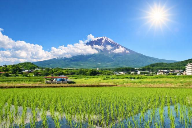 
 Petani Muda Indonesia Ikuti Program Magang Pertanian Modern di Jepang Selama Satu Tahun